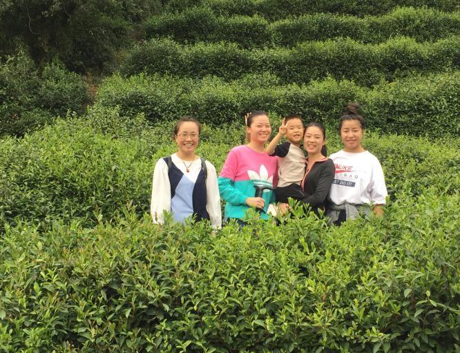 花季APP下载安装廠家軍嶂古道